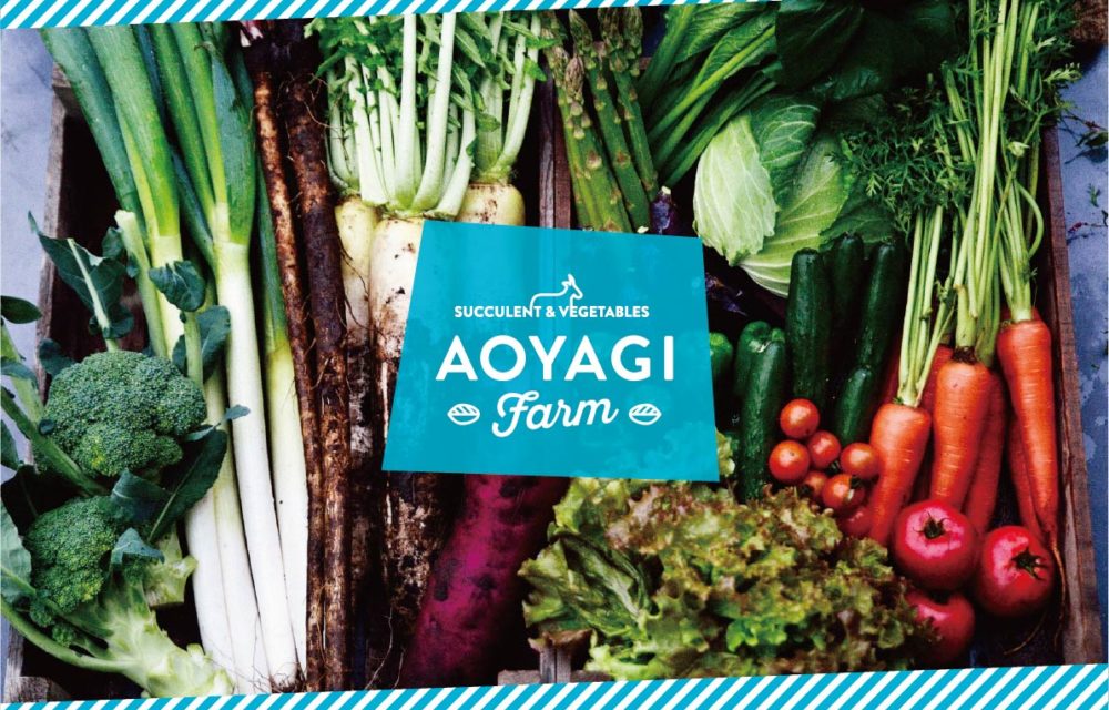 AOYAGI FARM