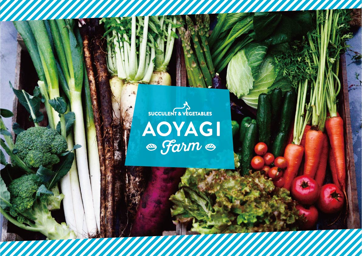 AOYAGI Farm ブランディングプロジェクト