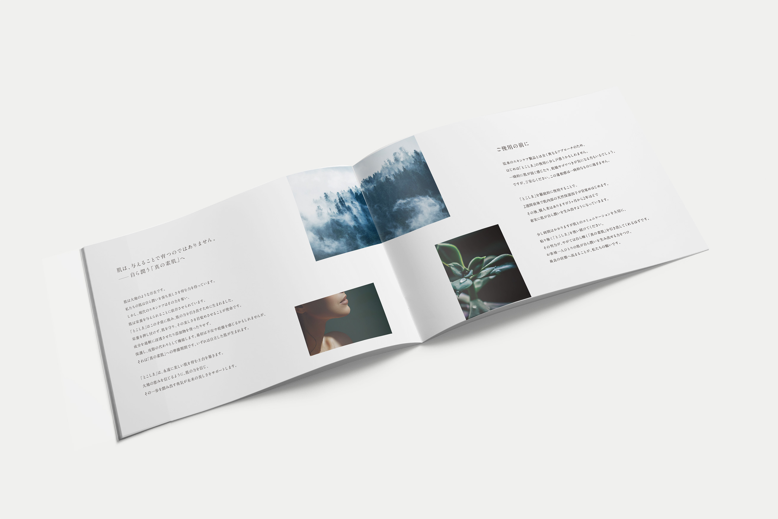 tokoshie-brochure-02