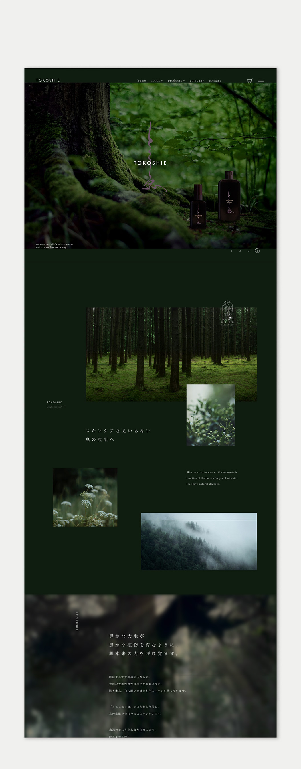 tokoshie-web-pc